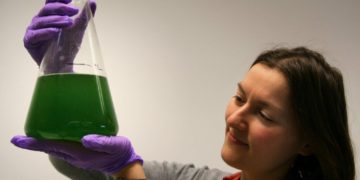 Biokütuste tootmine mikro- ja makrovetikatest on perspektiivikas valdkond. Fotod: Maaülikool