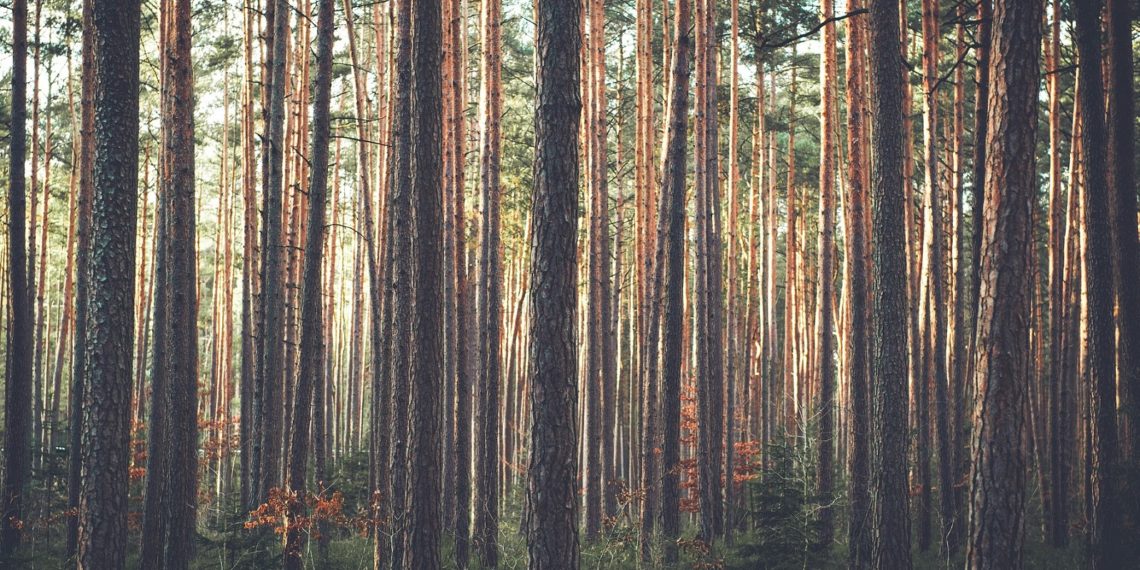 Suur saaste toob kaasa priske keskkonnatasu