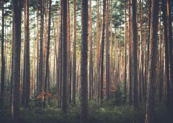 Suur saaste toob kaasa priske keskkonnatasu