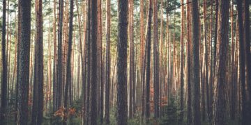 Suur saaste toob kaasa priske keskkonnatasu