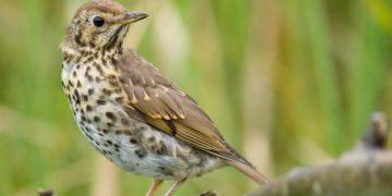 Aasta keskkonnasõbralik ettevõte 2018