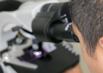 Puidukeemia. Foto: Pixabay