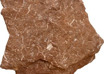 Põlevkivist on igal juhul mõistlik toota võimalikult kalleid produkte. Põletamine ja õli tootmine peab asenduma kõrgtehnoloogilise täppiskeemiaga.