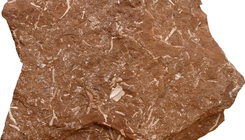 Põlevkivist on igal juhul mõistlik toota võimalikult kalleid produkte. Põletamine ja õli tootmine peab asenduma kõrgtehnoloogilise täppiskeemiaga.