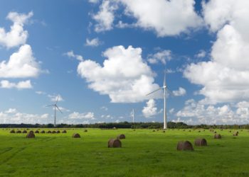 Eesti Elektritööstuse Liit