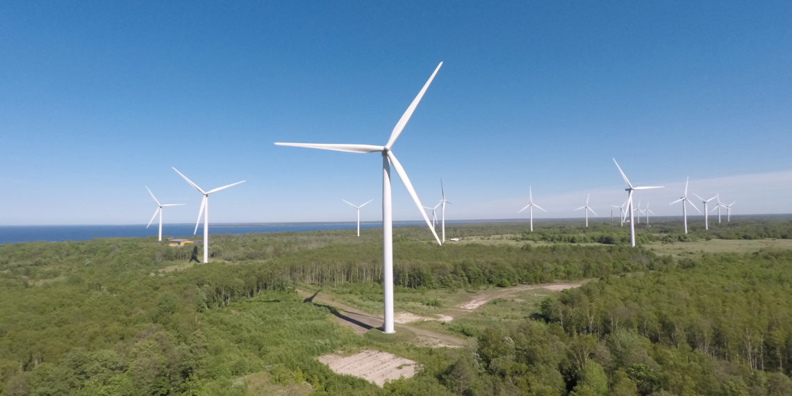 Riik proovib taas korraldada tuuleparkide vähempakkumise. Pildil Paldiski tuulepark. Foto: Enefit Green