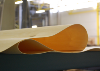 Eesti kliimaneutraalseks 2035. Foto: EMPL