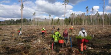 Metsamajanduses hõivatute arv on kasvanud. Foto: EMPL
