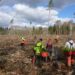 Metsamajanduses hõivatute arv on kasvanud. Foto: EMPL