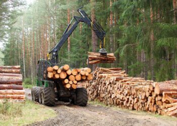 Metsatööstuse toodangu maht kasvas 2020. aastal. Foto: Shutterstock