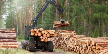 Metsatööstuse toodangu maht kasvas 2020. aastal. Foto: Shutterstock