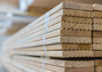 Puidu- ja metsasektor saab Eesti majandusele anda praegusest enam. Foto: Shutterstock