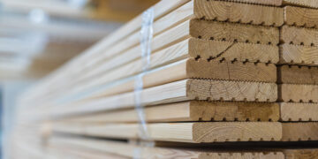 Puidu- ja metsasektor saab Eesti majandusele anda praegusest enam. Foto: Shutterstock