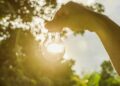 Kliimaneutraalsus. Foto: Shutterstock