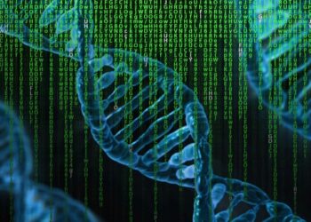 Raport soovitab iduettevõtetel rakutüvede digitaliseeritud arendamise suunas vaadata. Foto: Pixabay