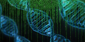 Raport soovitab iduettevõtetel rakutüvede digitaliseeritud arendamise suunas vaadata. Foto: Pixabay