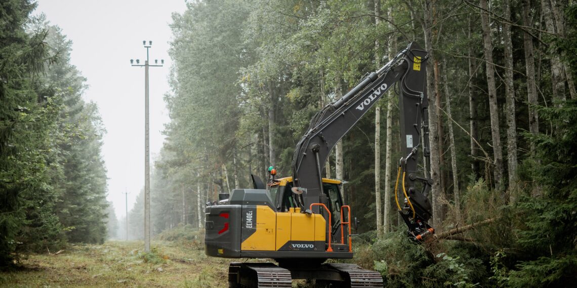 Tööd keskpinge võrgu- koridori puudest ja okstest puhastamisel. Foto: Elektrilevi