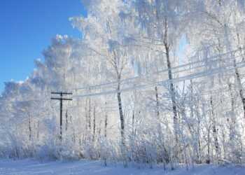 Elektrilevi. Foto: Shutterstock