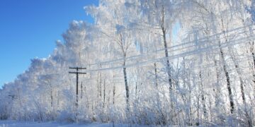 Elektrilevi. Foto: Shutterstock