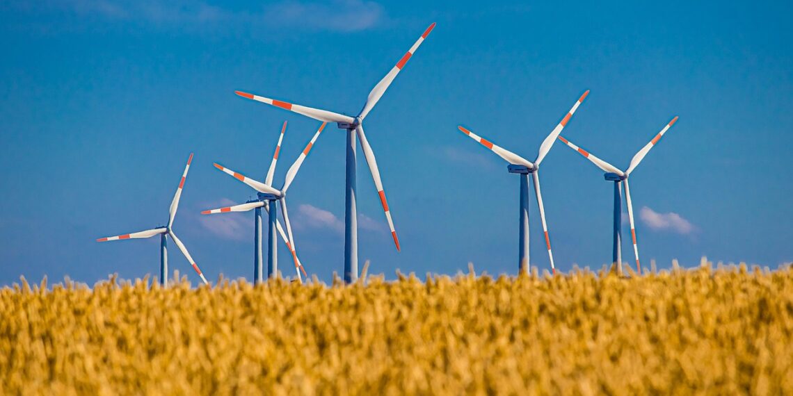 Rohetiiger soovitab tuuleparkide arendamiseks välja kuulutada tehnoloogianeutraalsed oksjonid. Foto: Pixabay