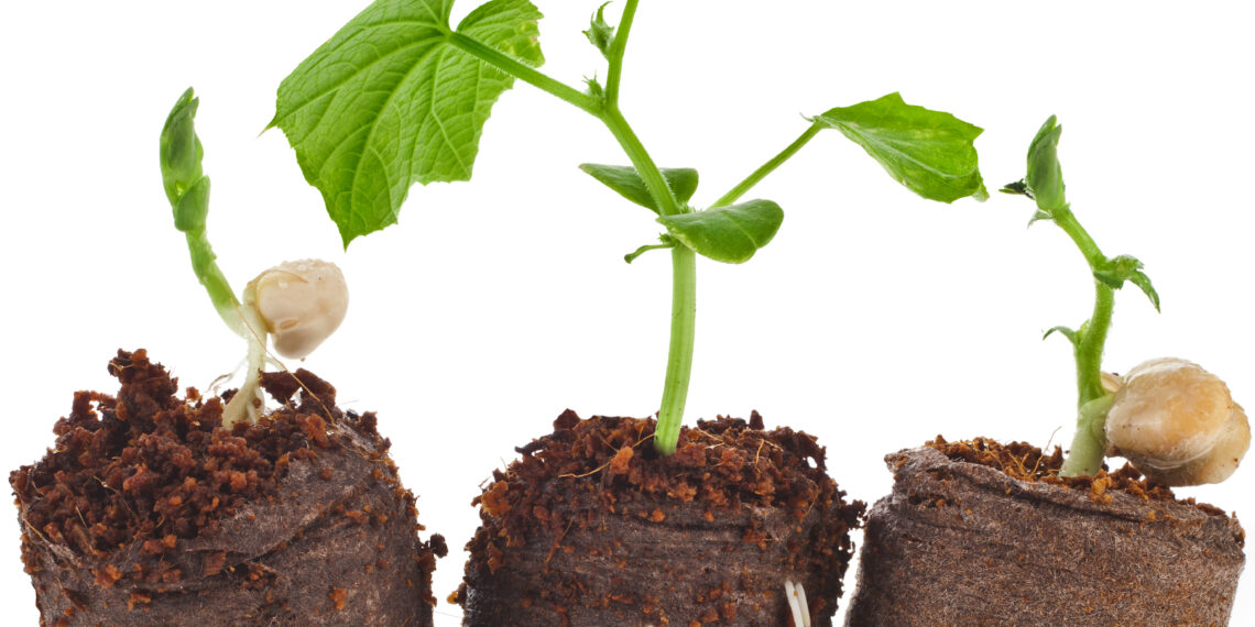 Eesti turvas on nõutud kaup kõikjal maailmas. Foto: Shutterstock