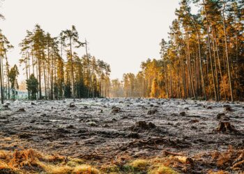 Meil on käimas mastaapsed teede ja trasside ehitused, kusjuures kui tee või elektriliin on tarvis üle loodusliku maastiku vedada, siis justkui enam looduskaitselised põhimõtted ei kehti.