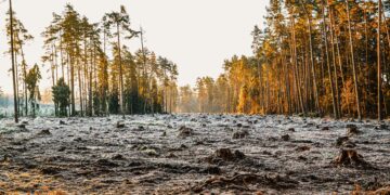 Meil on käimas mastaapsed teede ja trasside ehitused, kusjuures kui tee või elektriliin on tarvis üle loodusliku maastiku vedada, siis justkui enam looduskaitselised põhimõtted ei kehti.