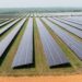 Sunly Ristile rajatud energiapark on oma 244 MW suuruse võimsusega Baltimaade suurim. Tegemist on esimese etapiga suurema hübriidpargi loomisel, kuhu lisaks tuleb veel ka energia salvestusvõimekus. Osa pargi tulust läheb Lääne-Nigula valla Risti osavalla eelarvesse, näiteks elektrihinna 50 eurot/MWh korral oleks vastav tasu ca 75 000 eurot aastas. Foto: Sunly/erakogu